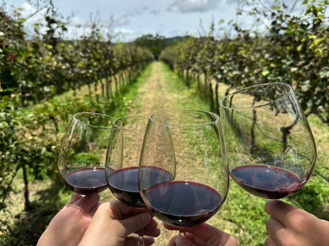 Vinícola Assunção-Pirenopolis必去景点