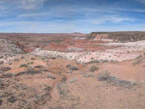 Petrified Forest National Park-霍尔布鲁克必去景点
