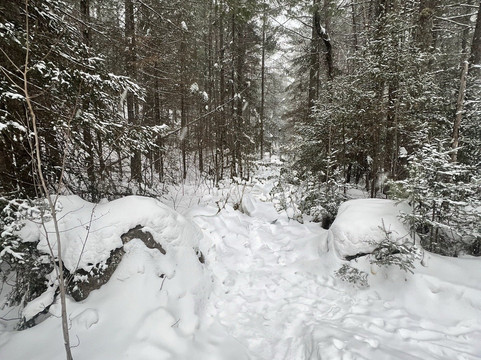 Demonstration Forest-Two Harbors必去景点