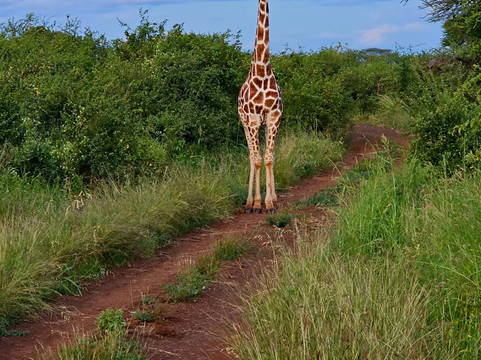 La Toupie Voyageuse-里昂必去景点
