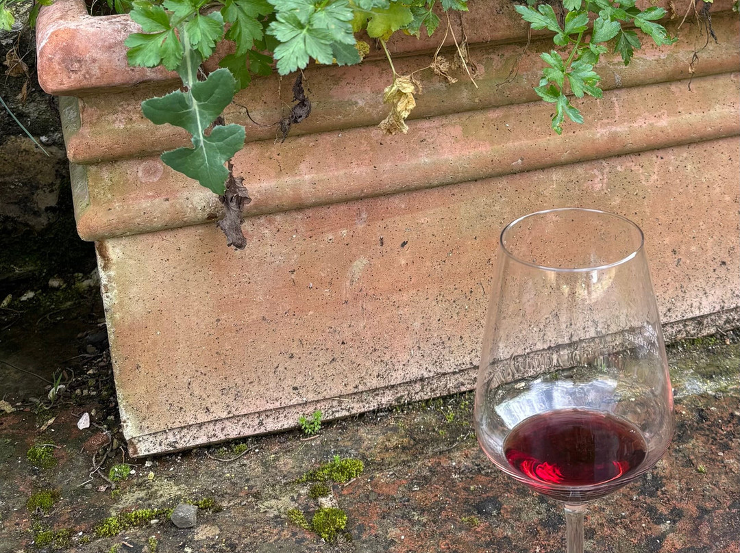 Best of Mas-锡耶纳必去景点