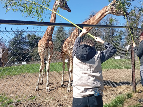 Safari De Peaugres-Peaugres必去景点