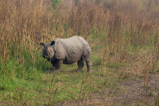 Jungle Expert Treks and Tours-Ratnanagar必去景点