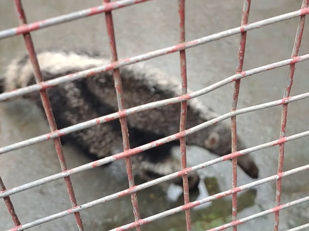 Aquario Natural-博尼图必去景点