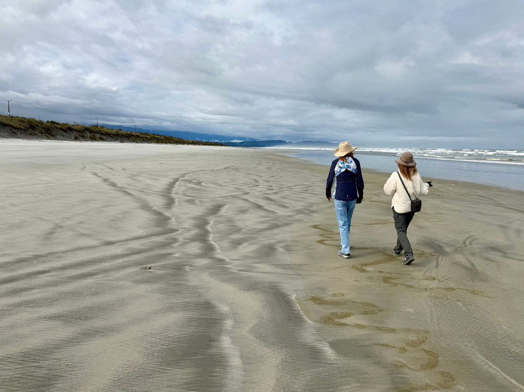 海湾别墅海滨住宿主图