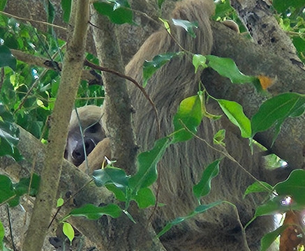 Punta Culebra Nature Center-巴拿马城必去景点