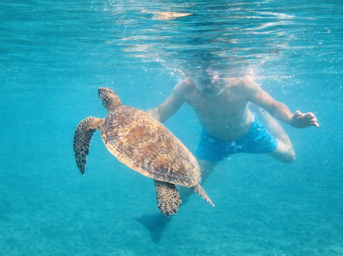 Daymaniyat Islands Nature Reserve-锡卜必去景点