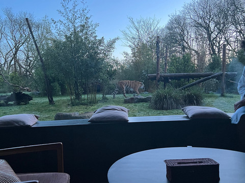 Planète Sauvage-Port-Saint-Pere必去景点