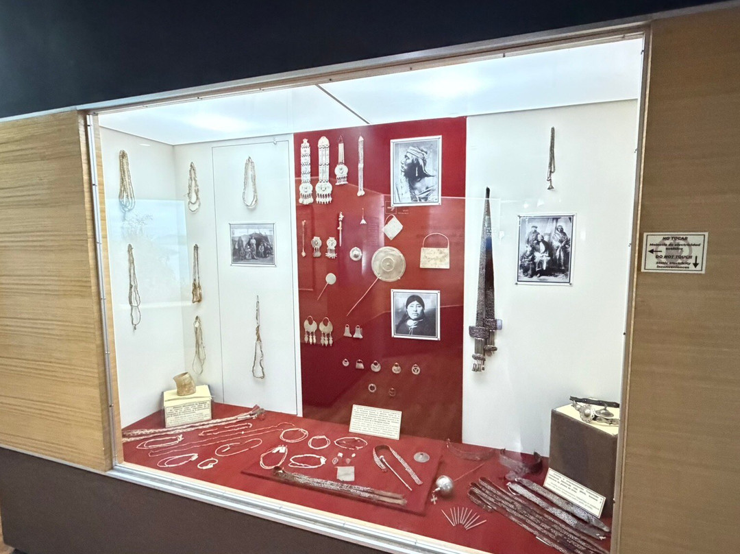 Museo Salesiano / Magiorinno Borgatello-蓬塔阿雷纳斯必去景点