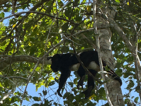 DANTA TOURS-Xpujil Town必去景点