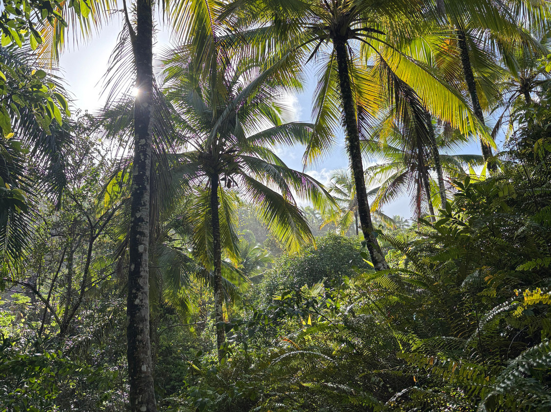 OlympiaOnBoard-Las Galeras必去景点