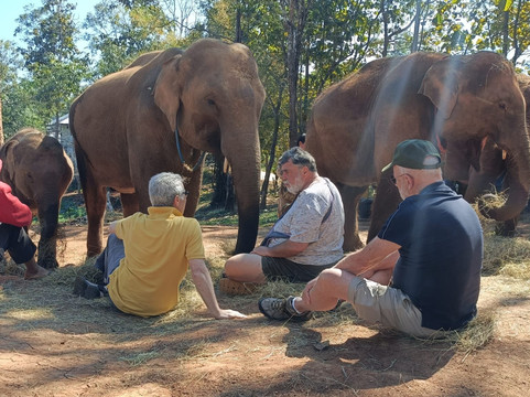 Elephant Special Tours-清迈府必去景点