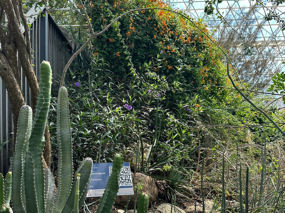 Biosphere 2-Oracle必去景点