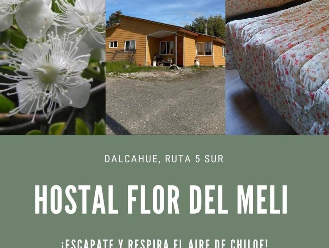 Hostal Flor Del Meli