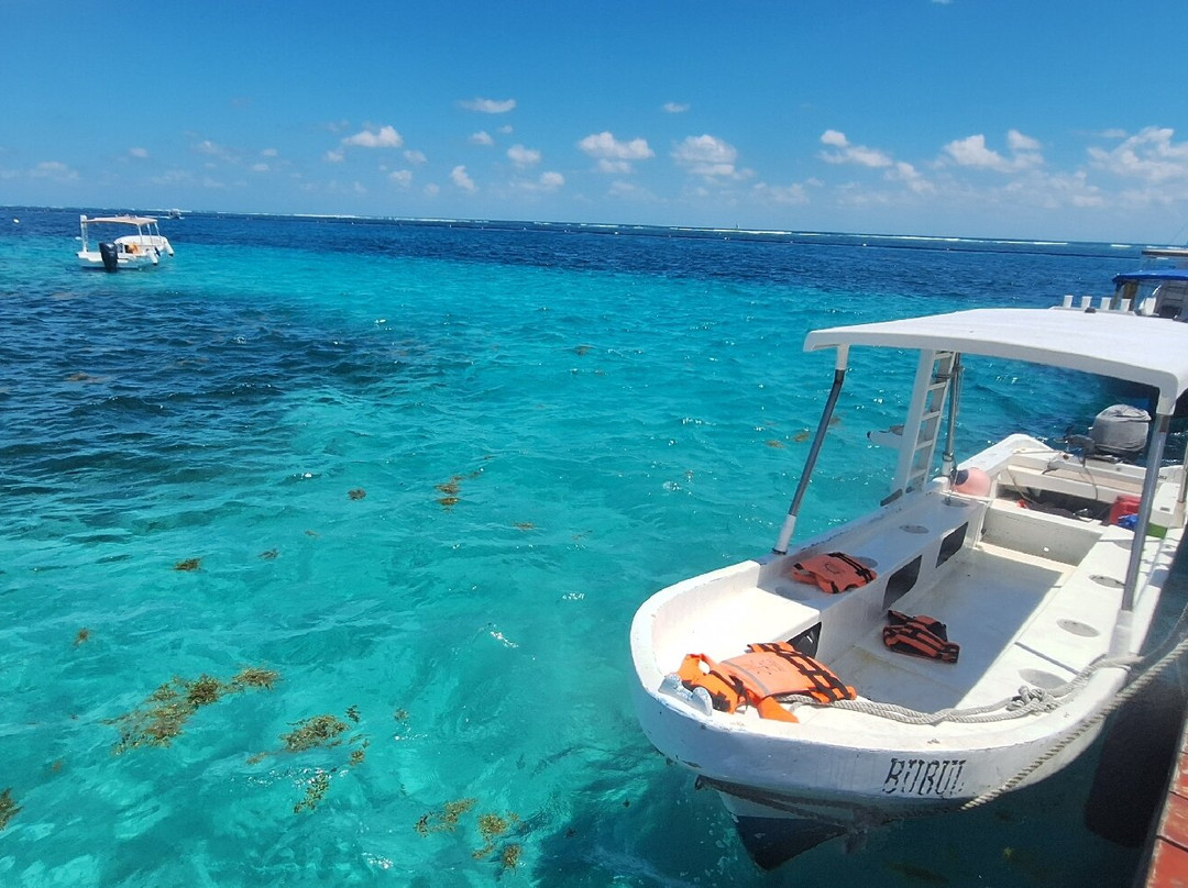 Remi Diving in Mexico-普拉亚德尔卡曼必去景点