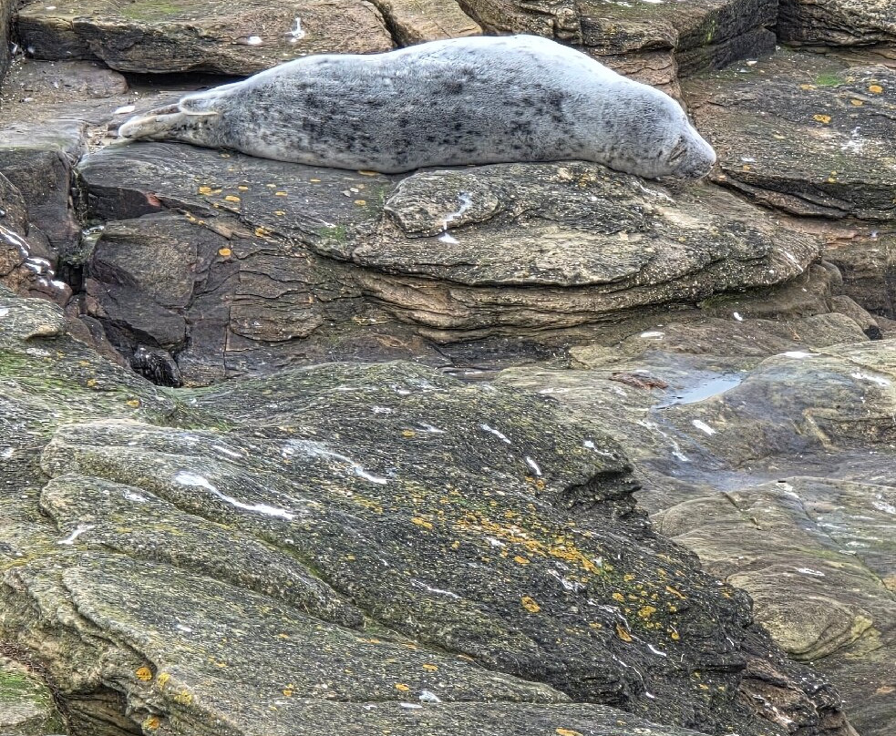 St. Mary's Lighthouse-惠特利湾必去景点