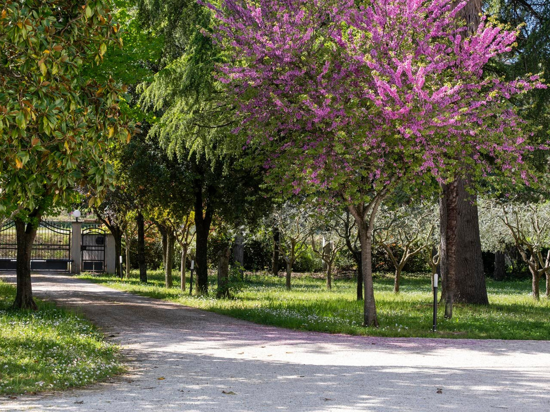 Oltremodo B&B • Piccola Dimora