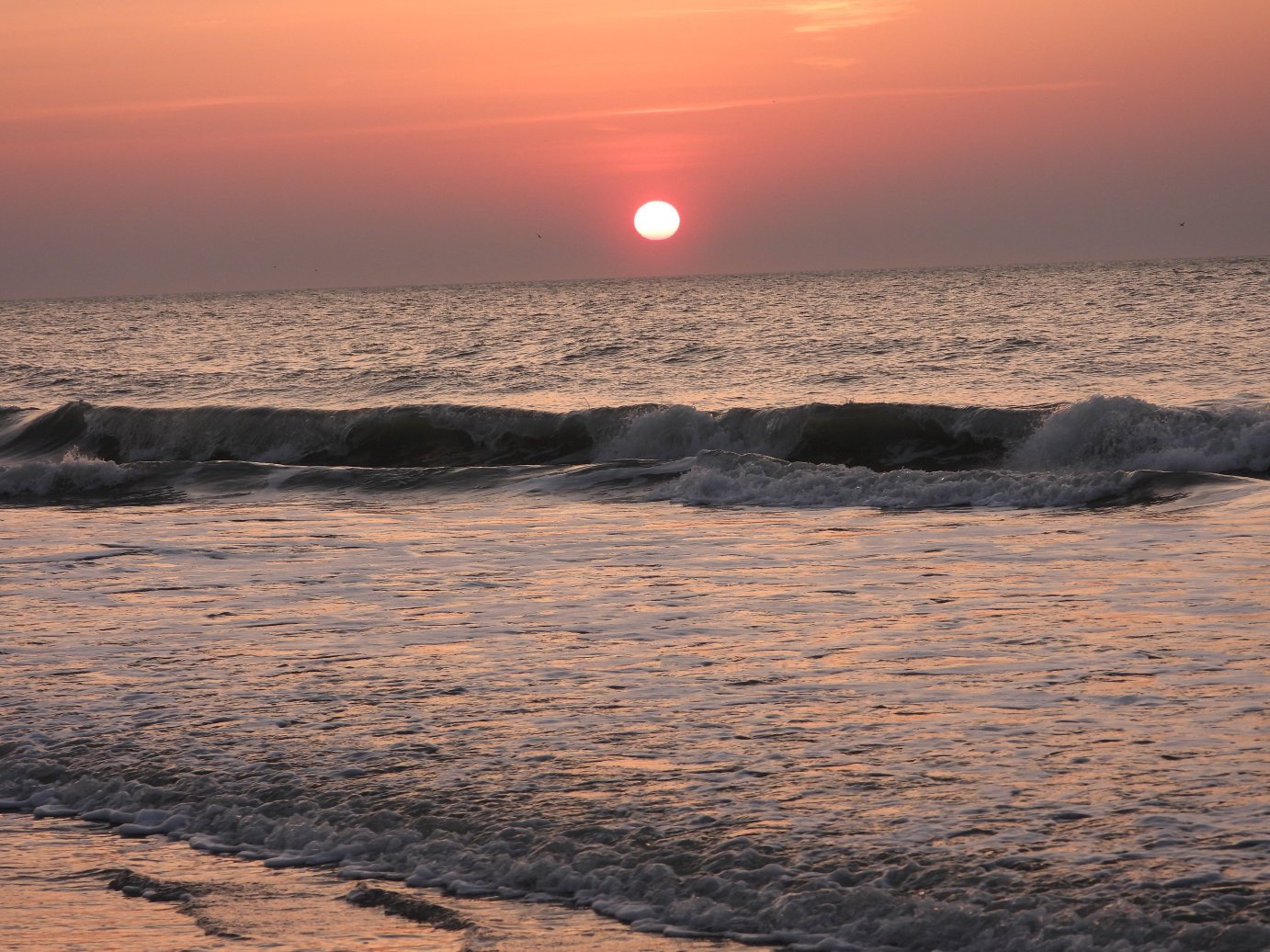 希尔顿花园酒店-大洋城海滨酒店-官方