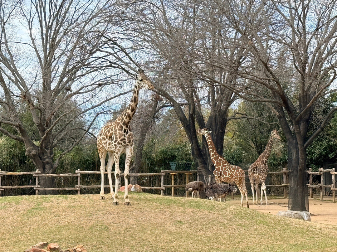 Fort Worth Zoo-沃思堡必去景点