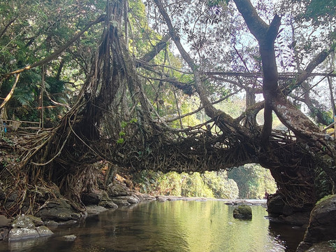 Desh Videsh Trip-Tinsukia必去景点