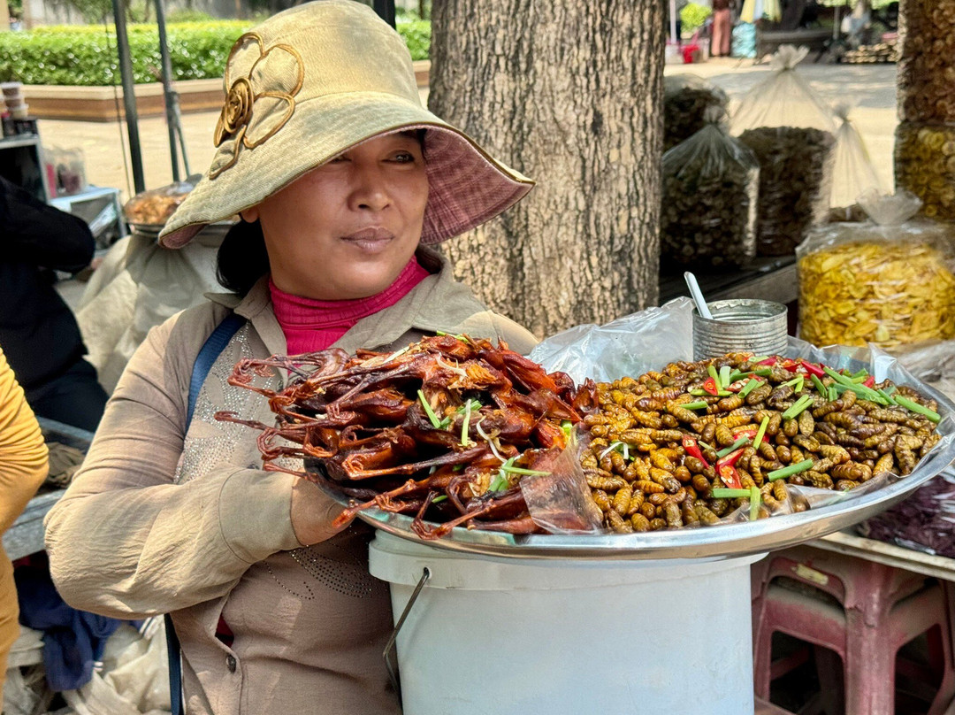 Cambodia Taxi Tours-金边必去景点