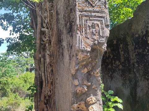 Safari Shwari Mafia Island-Utende必去景点