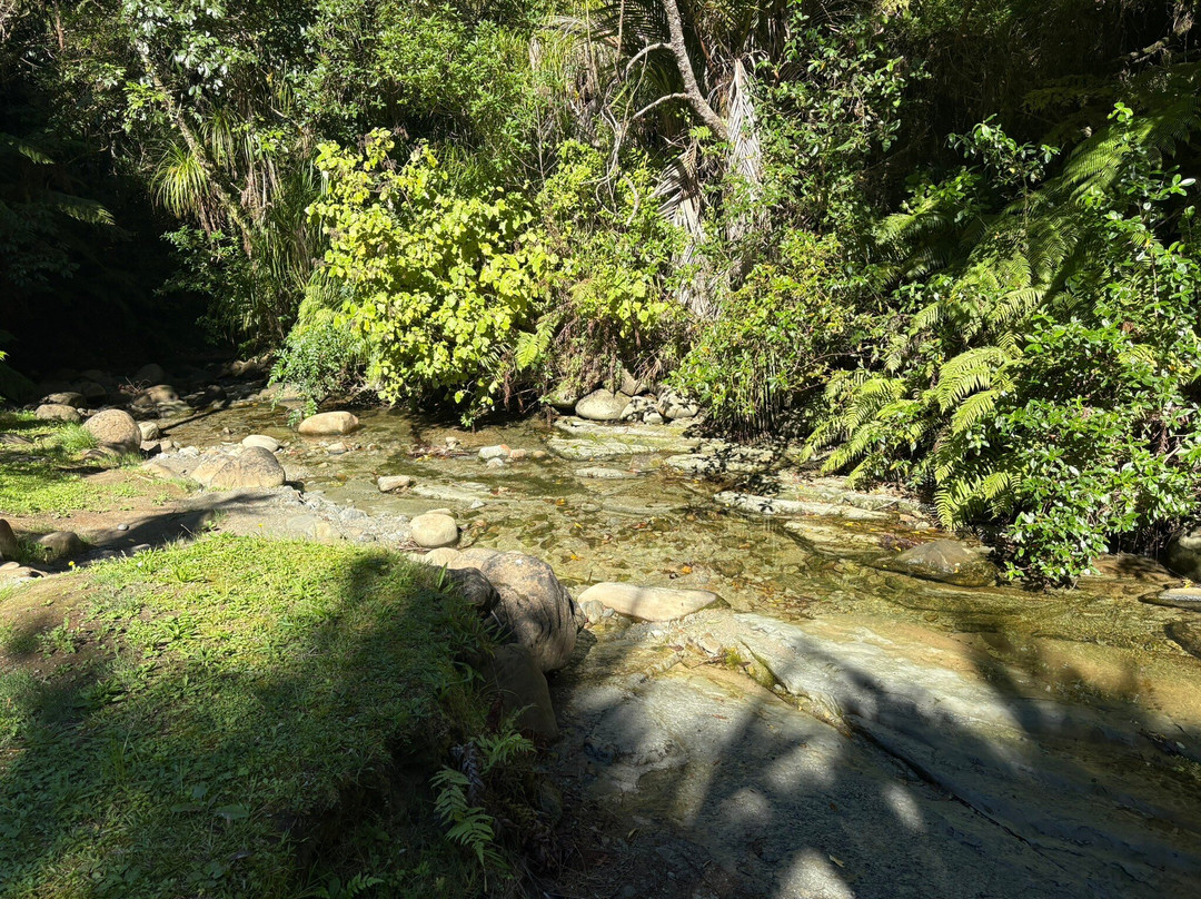 Morere Hot Springs-Morere必去景点