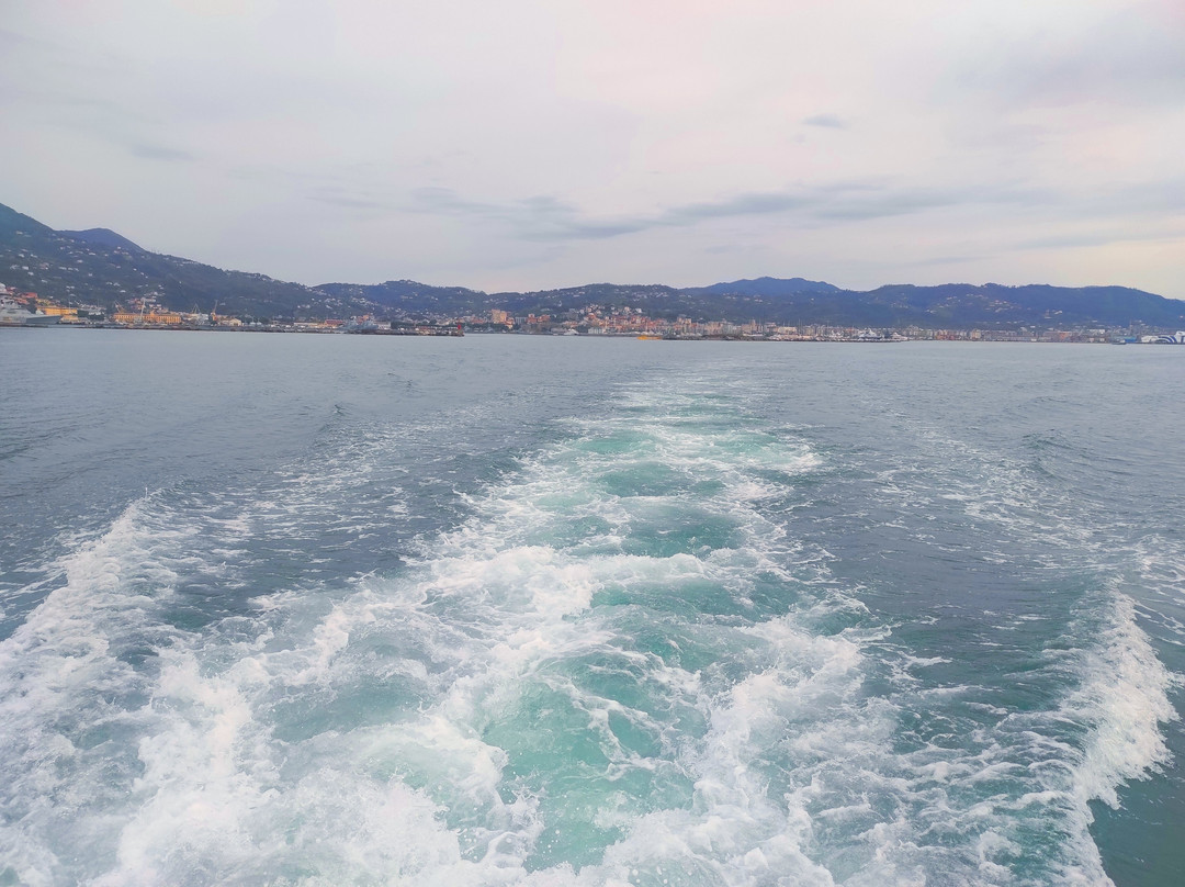 Isola Palmaria-韦内雷港必去景点