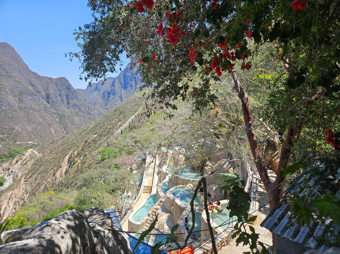Huellas Mexicanas. Viajes y Experiencias Gastronomicas-墨西哥城必去景点