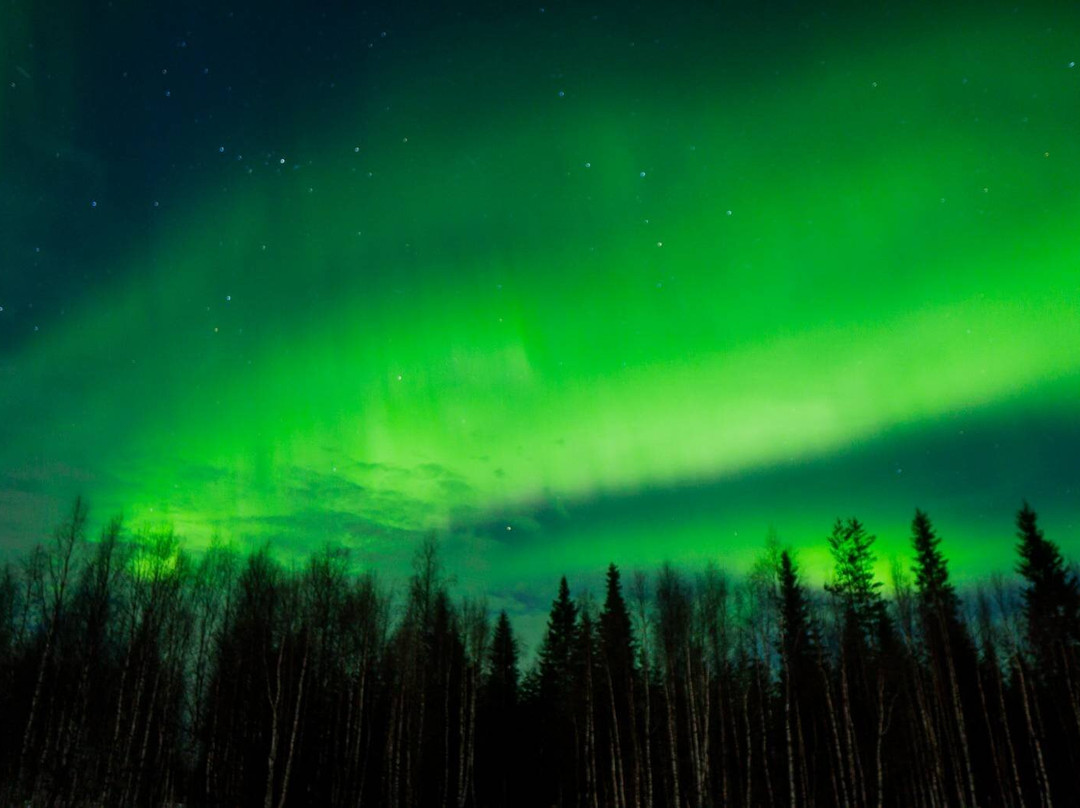 Arctic GM Experiences OY-罗瓦涅米必去景点