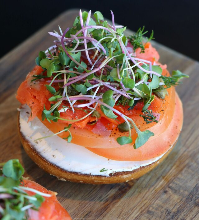 The Forge Bagel Co.