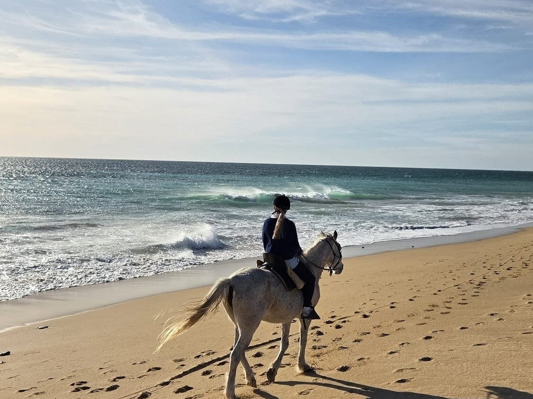 Centro Hipico Zahora-Zahora必去景点