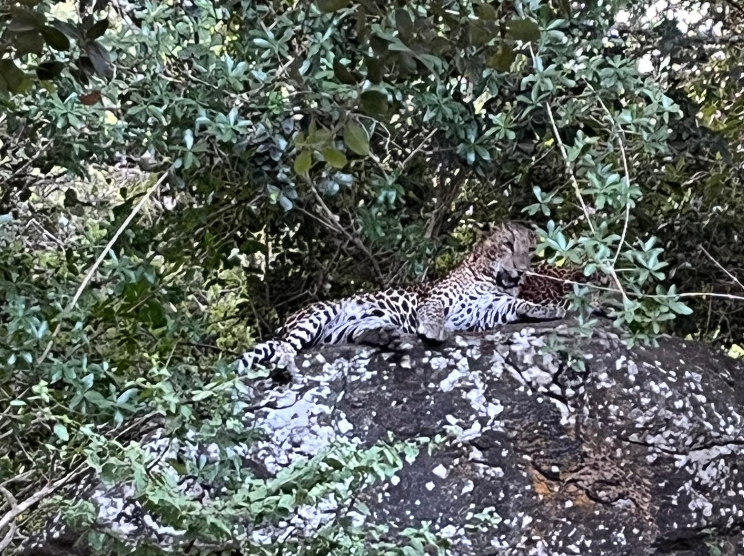 Freedom Safari Jeep Tours-蒂瑟默哈拉默必去景点