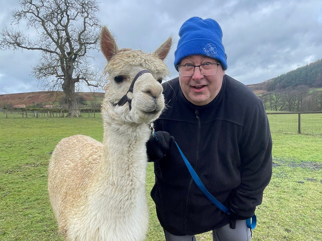 Little Alpaca Company-Kildale必去景点