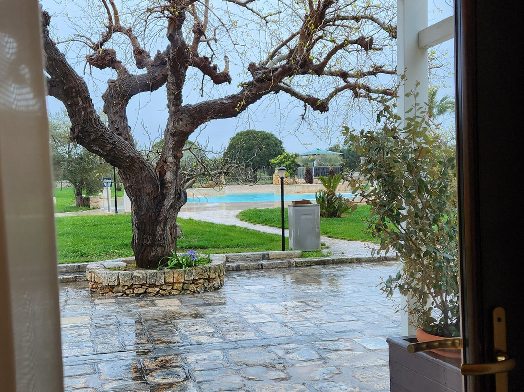 马塞里亚瓦伦特农家乐主图