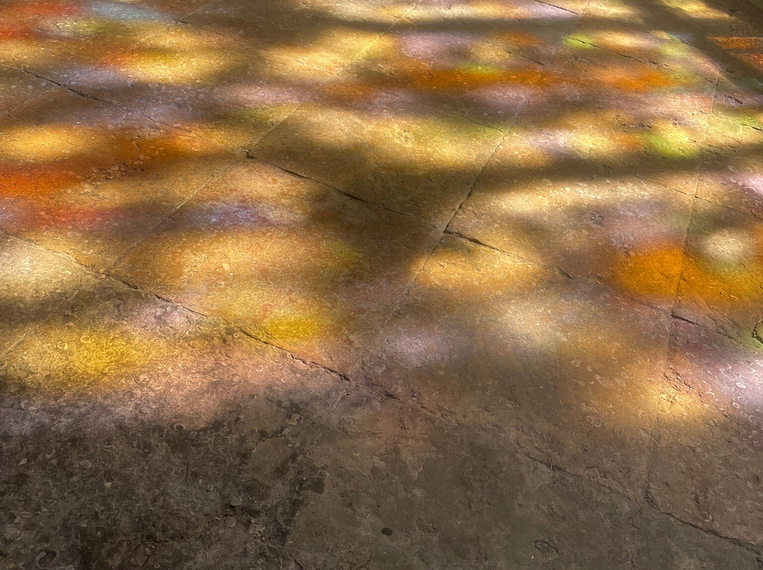 Cathédrale Saint-Maurice-维埃纳必去景点