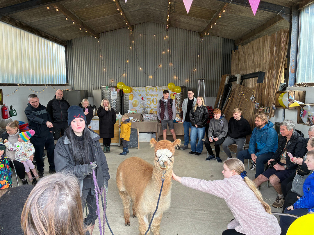 Brackenfield Alpacas-马特洛克必去景点