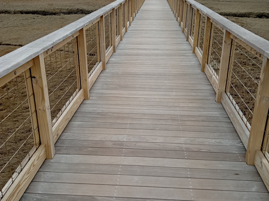 Sandwich Boardwalk-桑威奇必去景点