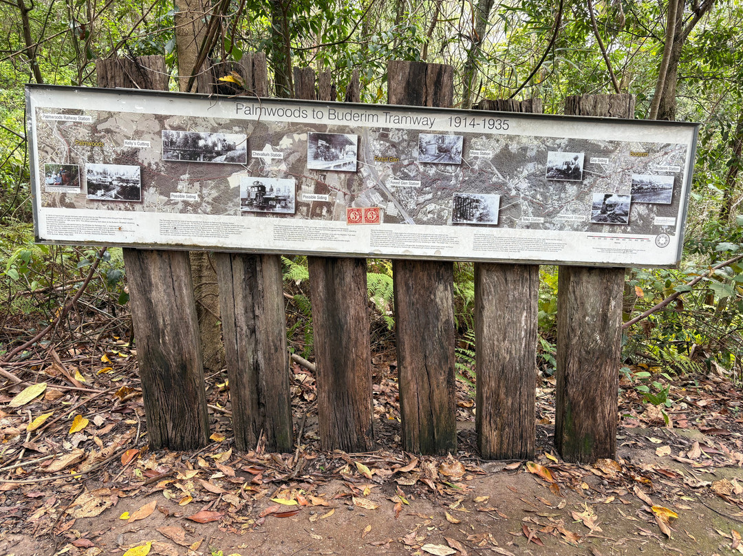 Buderim - Palmwoods Heritage Tramway-Buderim必去景点