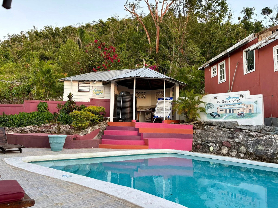 The Blue Orchid B&B