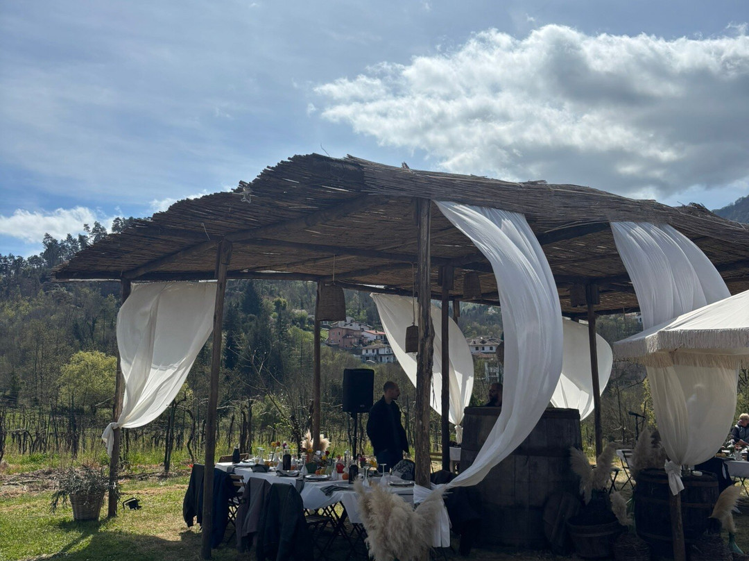 Antico Podere Ferrari-Bagno必去景点