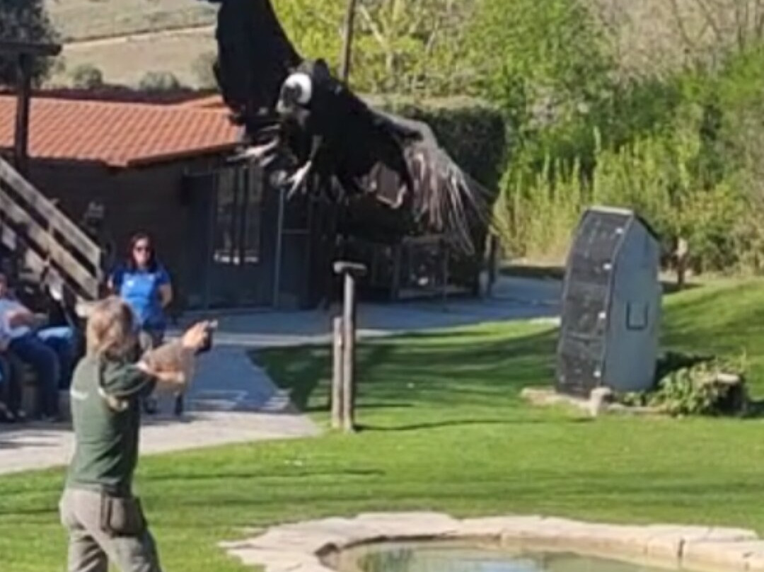 Sendaviva-Arguedas必去景点