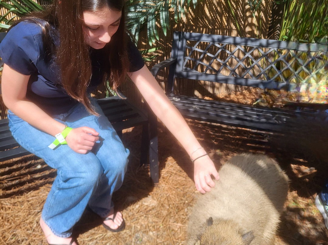 North Florida Wildlife Center-Lamont必去景点
