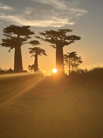 科特迪瓦西部省度假村-官方