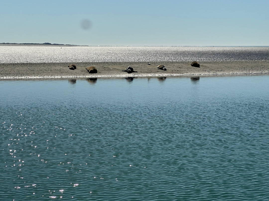 Chichester Harbour Water Tours-West Itchenor必去景点