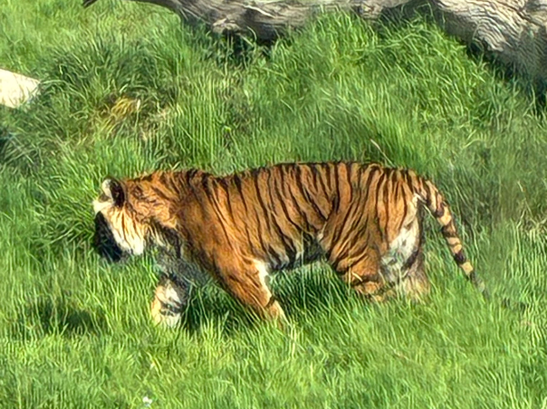 Planète Sauvage-Port-Saint-Pere必去景点