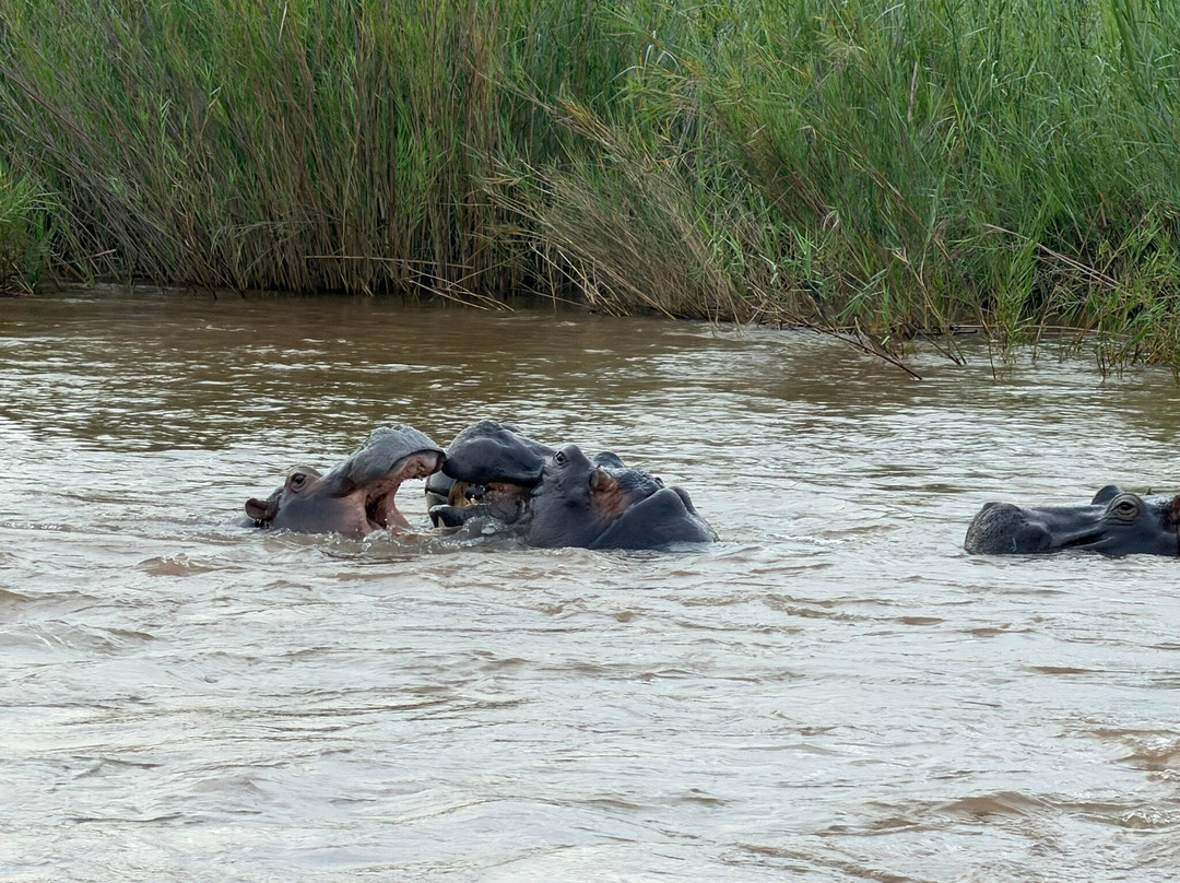 Touched By Nature-雾观必去景点