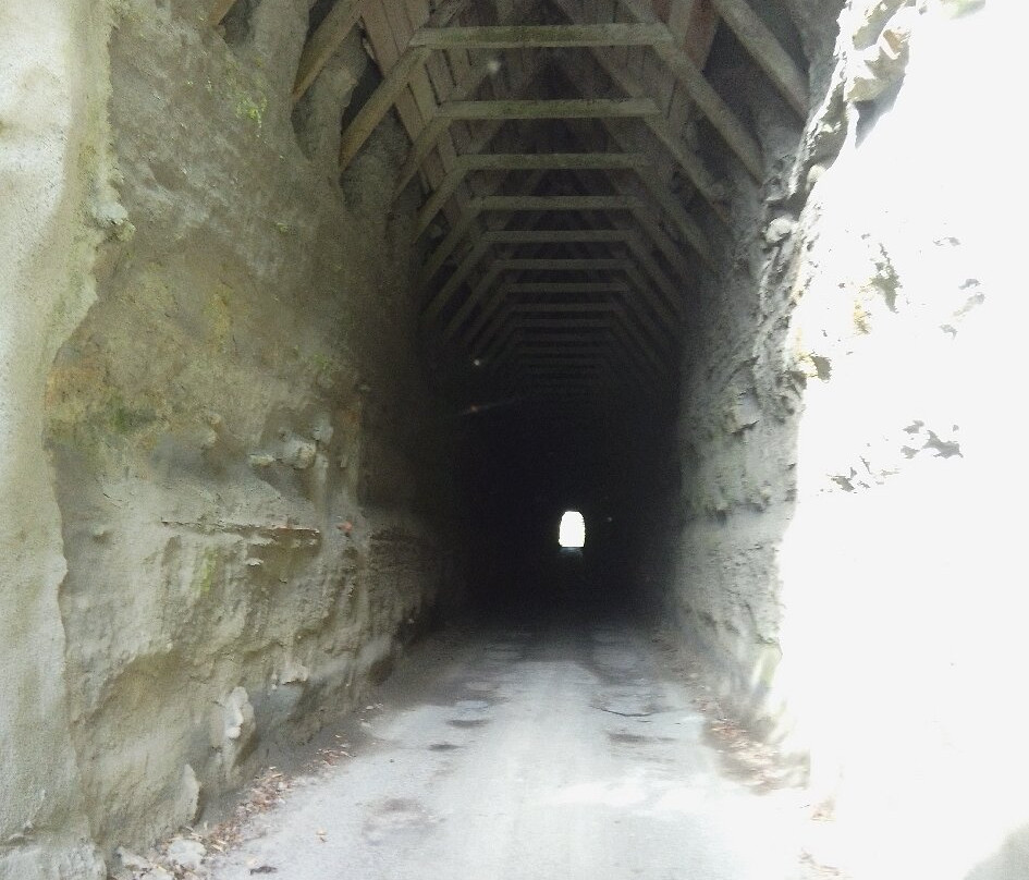 Whangamomona Hotel主图