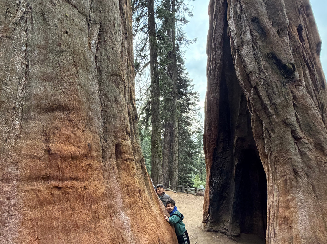 沃克萨奇村小屋酒店主图