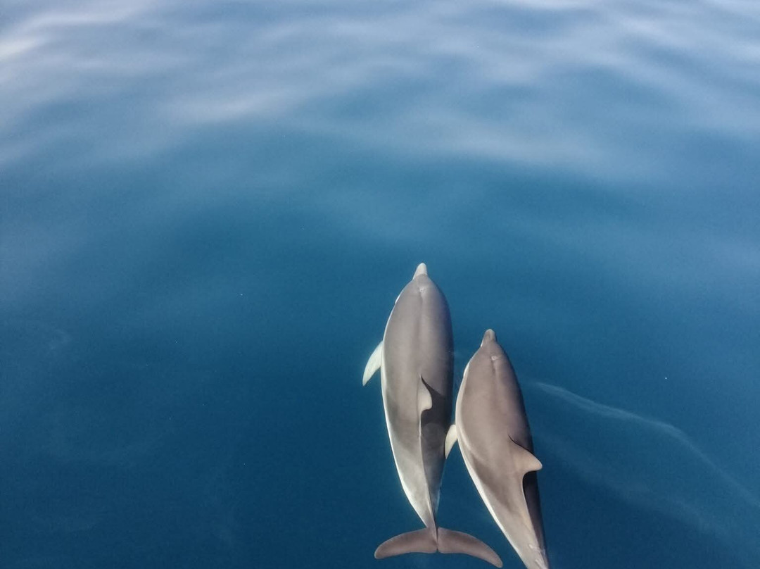 Boat Excursions Taormina-陶尔米纳必去景点